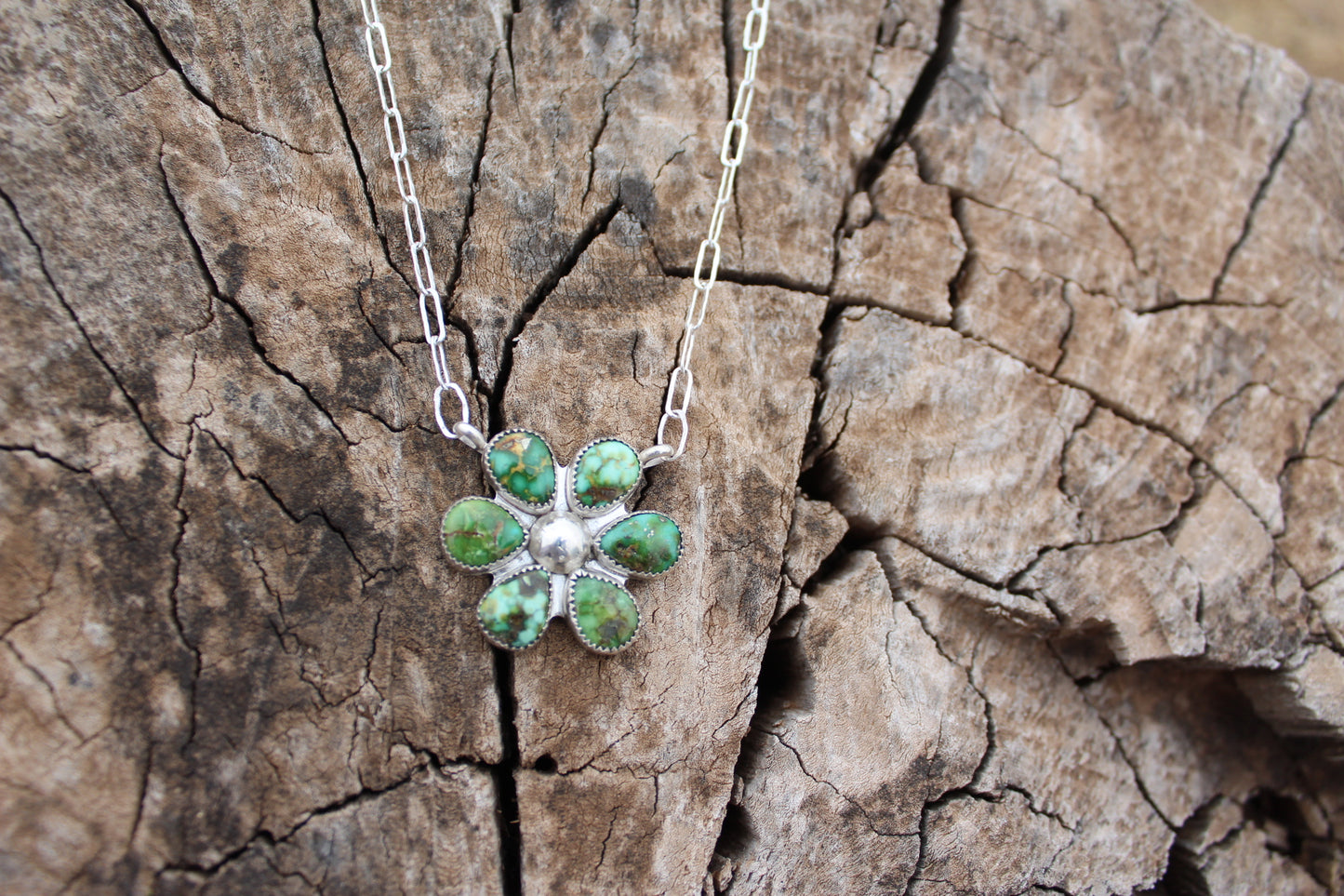 Sonoran Flower