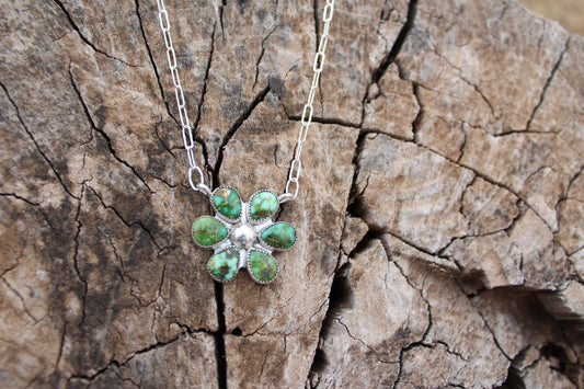 Sonoran Flower